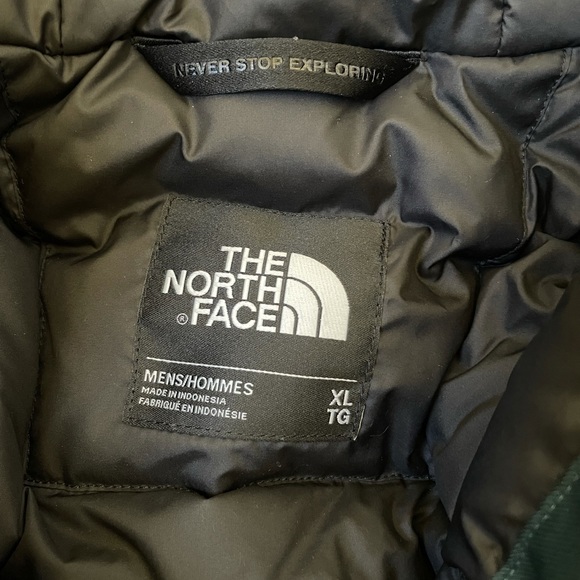 The North Face Men’s Biggie McMurdo Parka In Green - Picture 10 of 10